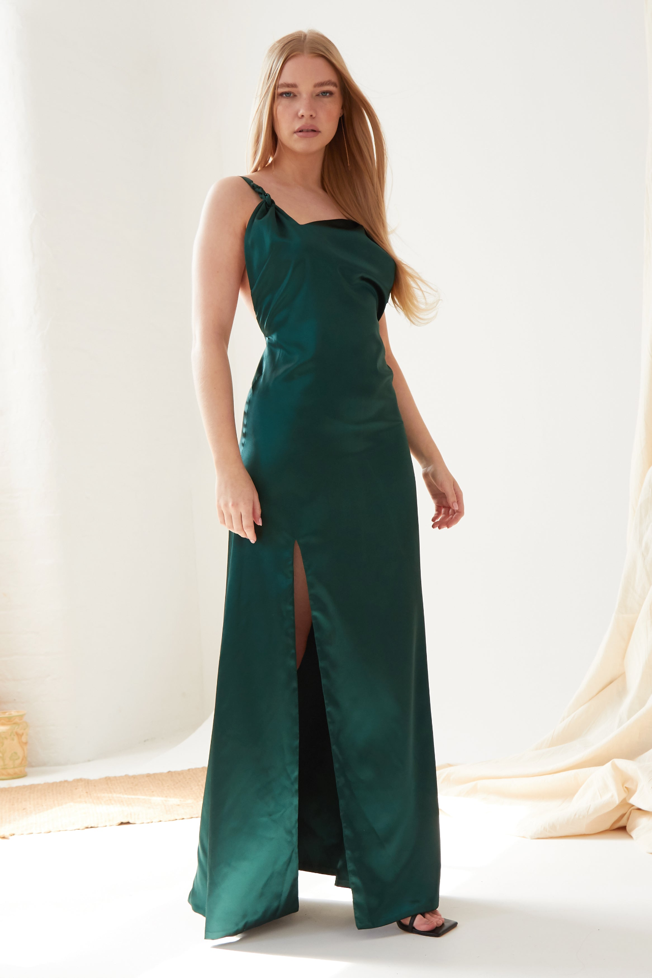 Sarvin Roya Backless Maxi Dress