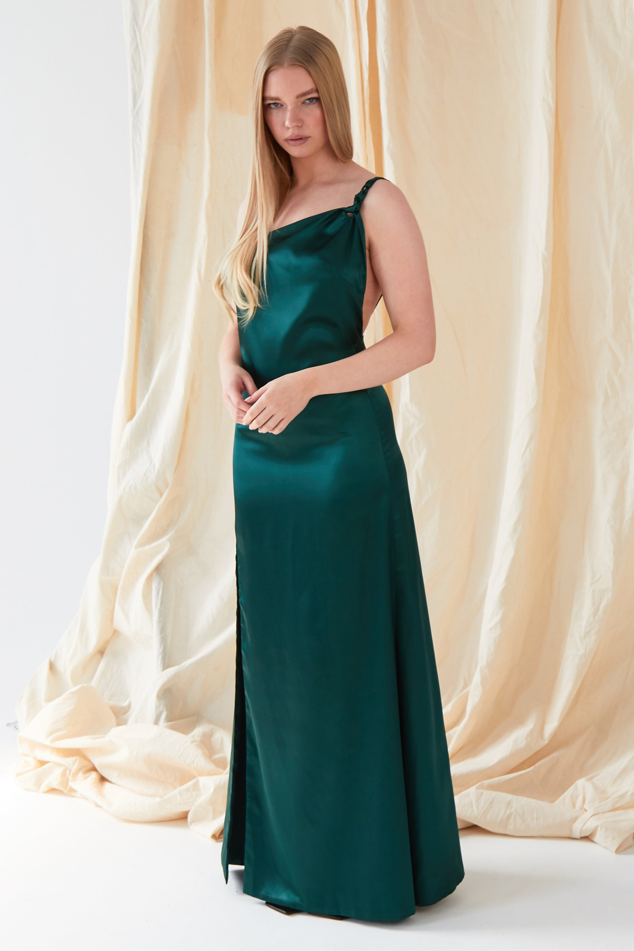 Sarvin Roya Backless Maxi Dress