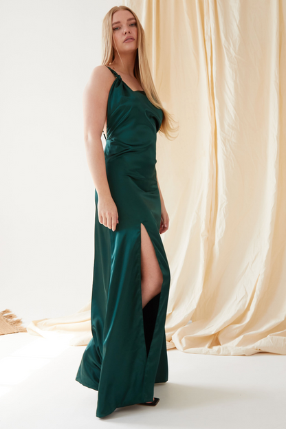 Sarvin Roya Backless Maxi Dress