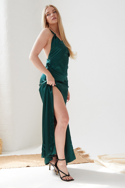 Sarvin Roya Backless Maxi Dress