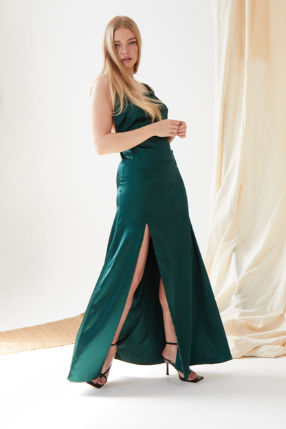 Sarvin Roya Backless Maxi Dress