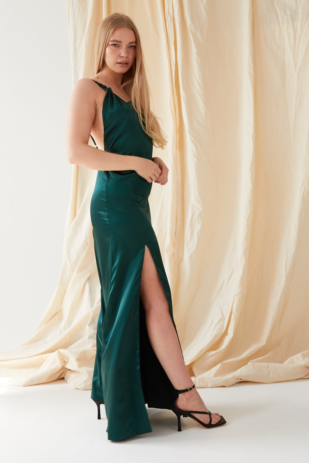 Sarvin Roya Backless Maxi Dress