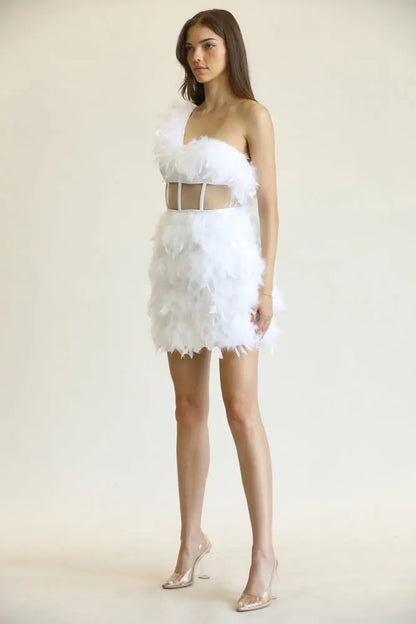 Rea One-Shoulder Feather Trim Dress with Mesh Corset Waist | Rose Paulino